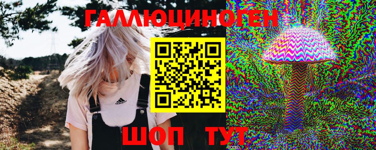 Галлюциногенные грибы Cubensis Кандалакша