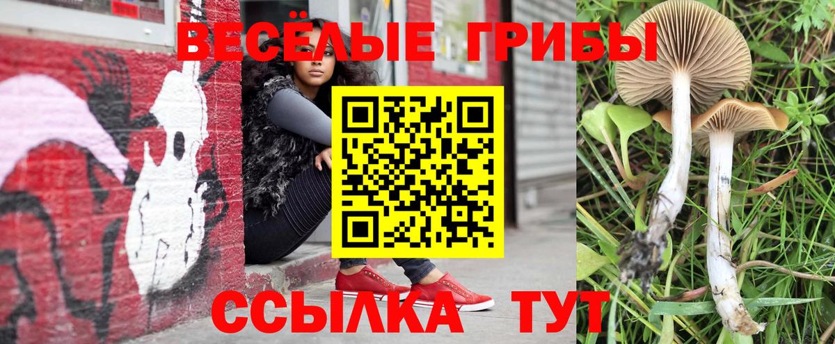 Псилоцибиновые грибы Magic Shrooms  Вход с VPN  Кандалакша  Псилоцибиновые грибы прущие грибы 